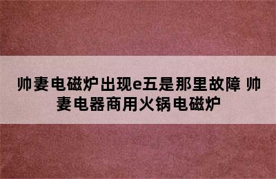 帅妻电磁炉出现e五是那里故障 帅妻电器商用火锅电磁炉